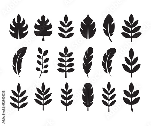 Tropical palm leaf silhouettes set isolated on white background vector illustration