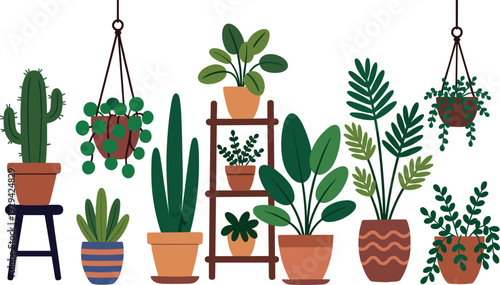 Collection of ten decorative potted houseplants including hanging plants, cactus, leafy greenery, terracotta pots, ceramic planters, wooden shelf display, indoor garden inspiration, and botanical il