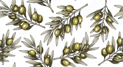 Detailed Line Art of Olive Branches with Ripe Olives, Botanical Illustration