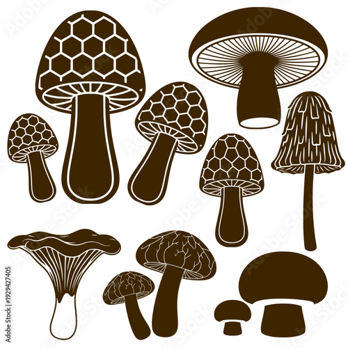 mushrooms vector illustration