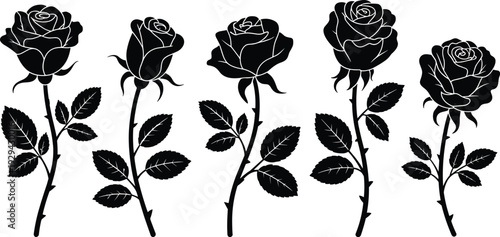 Rose flower silhouettes, floral stems, petal variations, botanical design, decorative foliage, artistic bouquet, flower arrangement, nature illustration, vector art