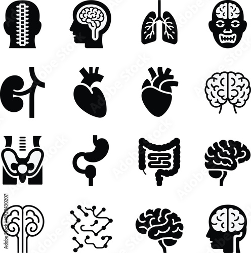 Human anatomy organ icons set including brain, heart, lungs, stomach, spine and nervous system silhouettes, medical healthcare vector illustration isolated on white background