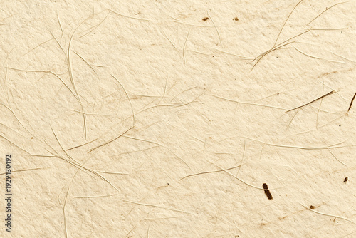 Macro close-up of natural handmade paper texture with organic plant fibers, premium traditional mulberry paper background