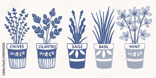 Botanical illustration of chives cilantro sage basil and mint plants