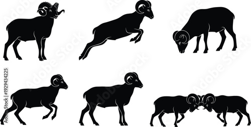 Black bighorn ram sheep silhouettes collection featuring jumping, standing, head butting, and grazing poses for mountain wildlife, zodiac Aries icons, or outdoor nature logos.
