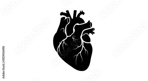Human Heart Silhouette with White Veins.