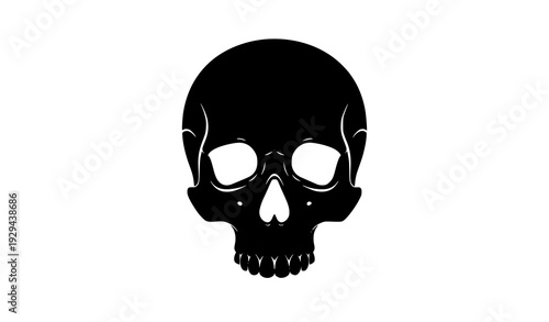 Human Skull Black and White Vector – Silhouette Shapes Illustration