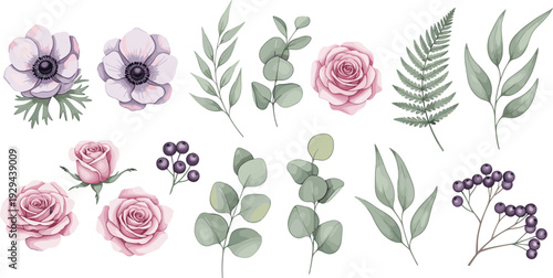 Delicate Pink Roses and Floral Elements with Leaves, Berries, and Ferns for Design