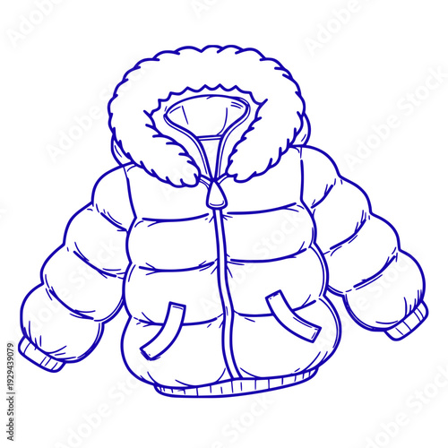 vector illustration of a lion