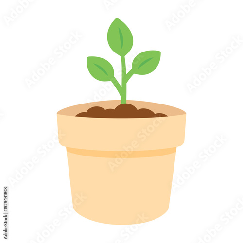 Growing potted sprout plant. Natural, care, growth, gardening, houseplant, lifecycle concept. Flat vector design isolated illustration.