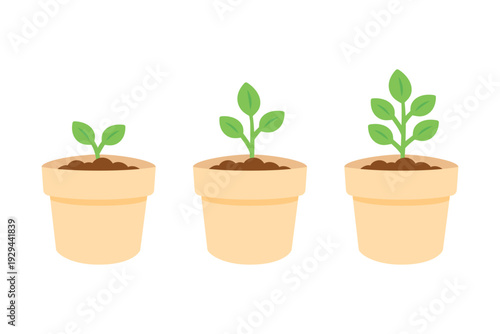 Growing potted sprout plant stages. Natural, care, growth, gardening, houseplant, lifecycle concept. Flat vector design isolated illustration.