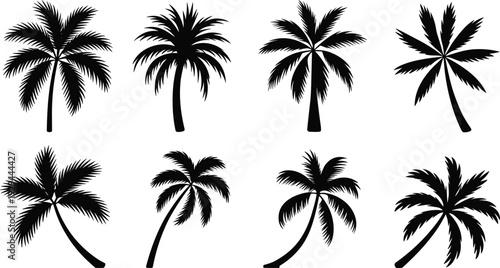 Tropical palm tree silhouette variations coconut trees vector illustration beach summer island nature black design collection set