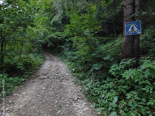 Gravel forest road with pedestrian crossing sign