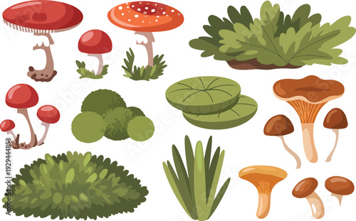 Forest Mushroom and Moss Illustration Set with Fly Agaric, Chanterelle and Green Ground Plants for Nature, Botany and Woodland Design