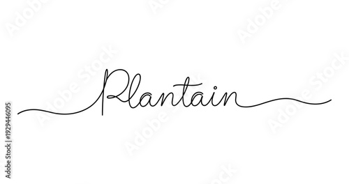 Elegant plantain calligraphy design with flowing lines. No editable strokes