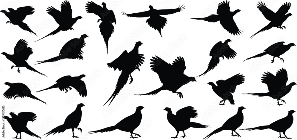 Obraz premium Black silhouettes of pheasants in flight, standing, and walking with long tail feathers, perfect for wildlife design, ornithology, and nature-themed projects