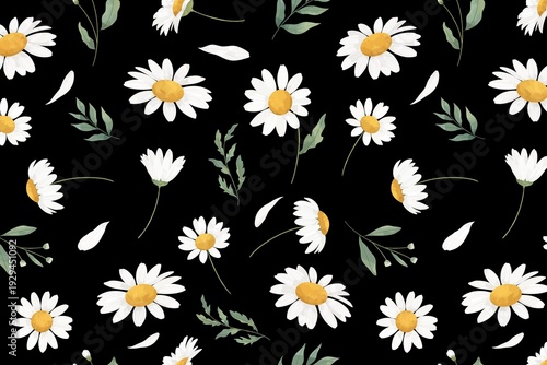 Dark daisy flower pattern. Contrast summer botanical floral wallpaper with white chamomile blossoms and green leaves on black background.