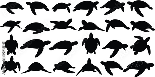 Collection of turtle silhouettes featuring diverse poses, shell shapes, limb positions, and orientations, perfect for wildlife illustration, anatomy studies, and design inspiration projects