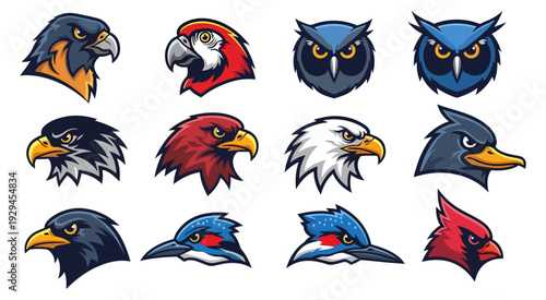 Stylized bird heads collection illustration