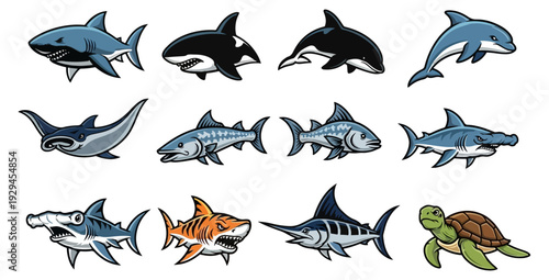 Various marine animals illustrations on black background