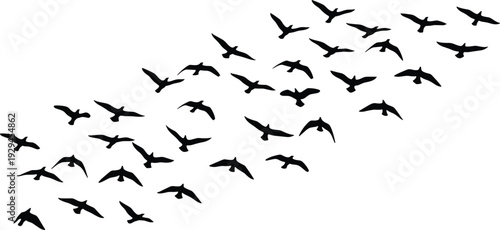 Silhouette flock of birds flying in diagonal formation, migration wildlife vector art design for nature, freedom, travel, sky, and abstract themes