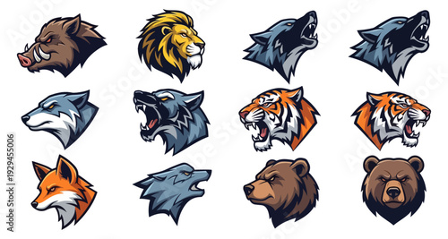Wildlife animal head graphics collection