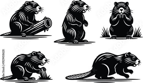 Beaver silhouette vector illustration, wildlife animal design, black and white forest creature art, nature graphic, rustic outdoor theme, detailed fur texture drawing