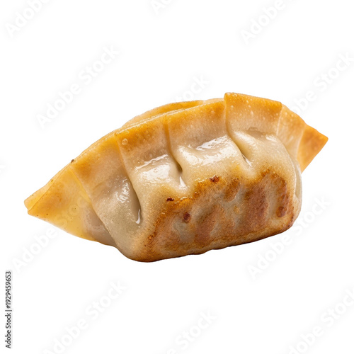 Golden brown pan-fried dumpling isolated on white