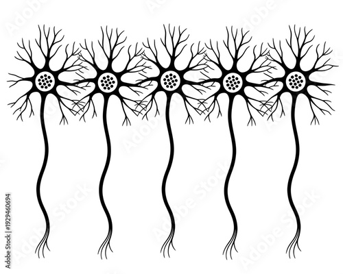 A group of neuron cells with branching dendrites and axons in a row formation