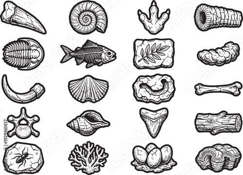 A detailed artistic black and white illustration presents various prehistoric fossils, showcasing the wonders of natural history.