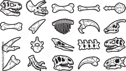 An illustrative depiction of diverse dinosaur bones and skeletal remains, capturing prehistoric life. 