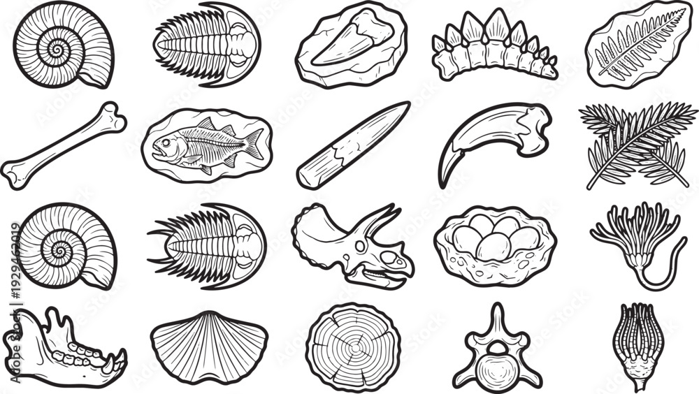 Obraz premium Various fossils, depicted in a monochrome illustration, showcase the wonders of prehistoric life, offering a glimpse into the distant past.