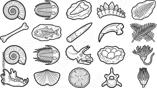 Various fossils, depicted in a monochrome illustration, showcase the wonders of prehistoric life, offering a glimpse into the distant past.