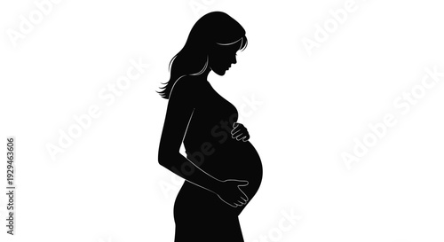 Pregnant woman silhouette profile view holding belly expecting mother in black outline on white background maternity and parenthood concept