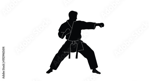 Martial arts silhouette karate practitioner in fighting stance black uniform with white outline dynamic pose martial arts training concept