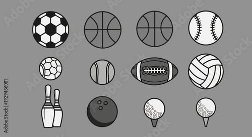 Collection of diverse sports balls and equipment on a neutral background