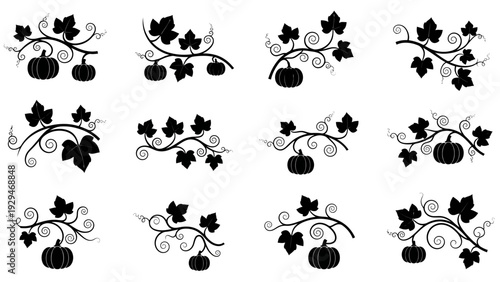 Black silhouette of grapevine branch.