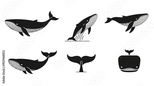 Black silhouettes of different whales.