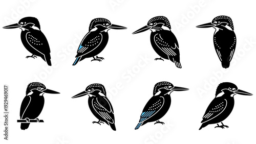 Collection of Kingfisher Bird Silhouettes.