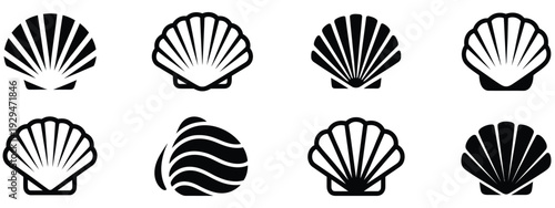 Seashell vector collection, shell icons including conch, scallop, and clam illustrations for beach, ocean, marine, coastal, and nautical design projects.