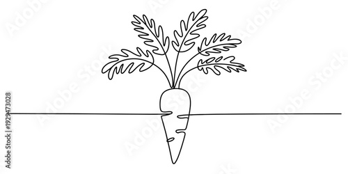A simple black and white line drawing illustration of a carrot plant growing in the ground Vector, illustration