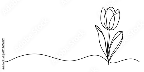 Minimalist single line drawing of a tulip flower growing from a wavy ground line Vector, illustration
