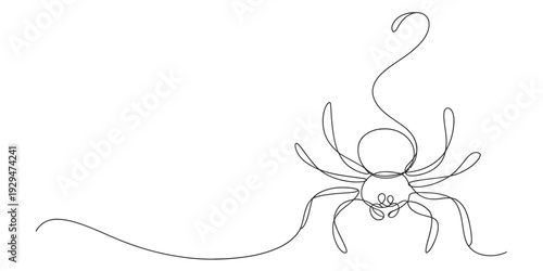 Simple continuous line drawing of a spider hanging from its web thread on a white background Vector, illustration