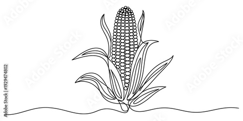 A minimalist continuous line drawing of a single corn cob with husks and leaves Vector, illustration