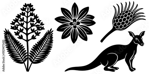 Flat vector kangaroo paw, bottlebrush, boronia, banksia. Australian native flowers