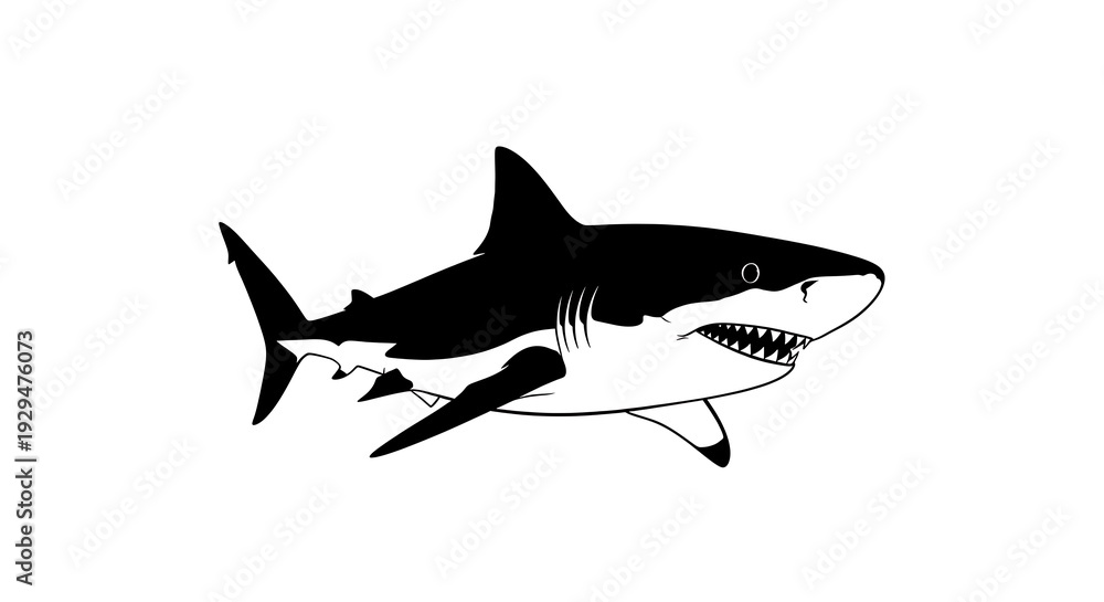 Fototapeta premium Black and white shark illustration.