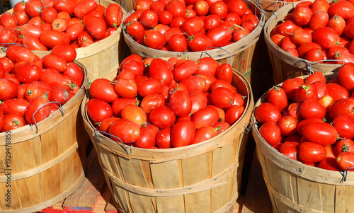 Billede på lærred Roma tomato or Roma is a plum tomato popularly used both for canning and producing tomato paste because of its slender and firm nature