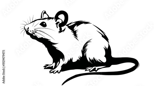 Stylized, black and white image of a rat with whiskers and a long tail, on a white background
