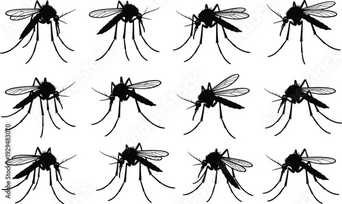 "Black silhouette vector illustration of mosquitoes, insect pest awareness, entomology study, disease carrier symbol, malaria dengue vector, detailed wings and legs"