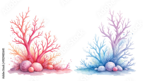 colorful coral reef illustration with rocks.